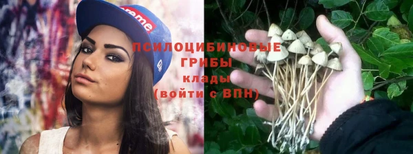 винт Богородск