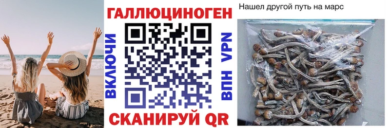 Псилоцибиновые грибы ЛСД  Ульяновск 
